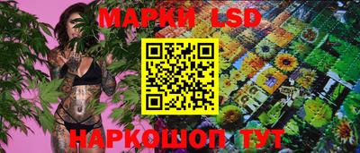 МДПВ Краснознаменск