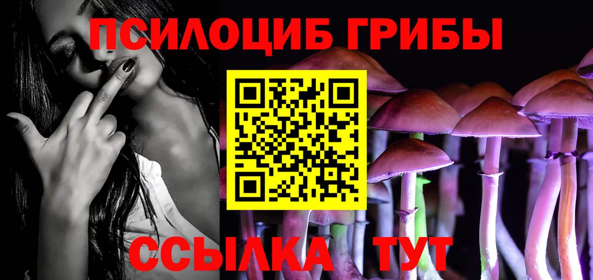 Галлюциногенные грибы Psilocybine cubensis  Вход с VPN  Калач-на-Дону 
